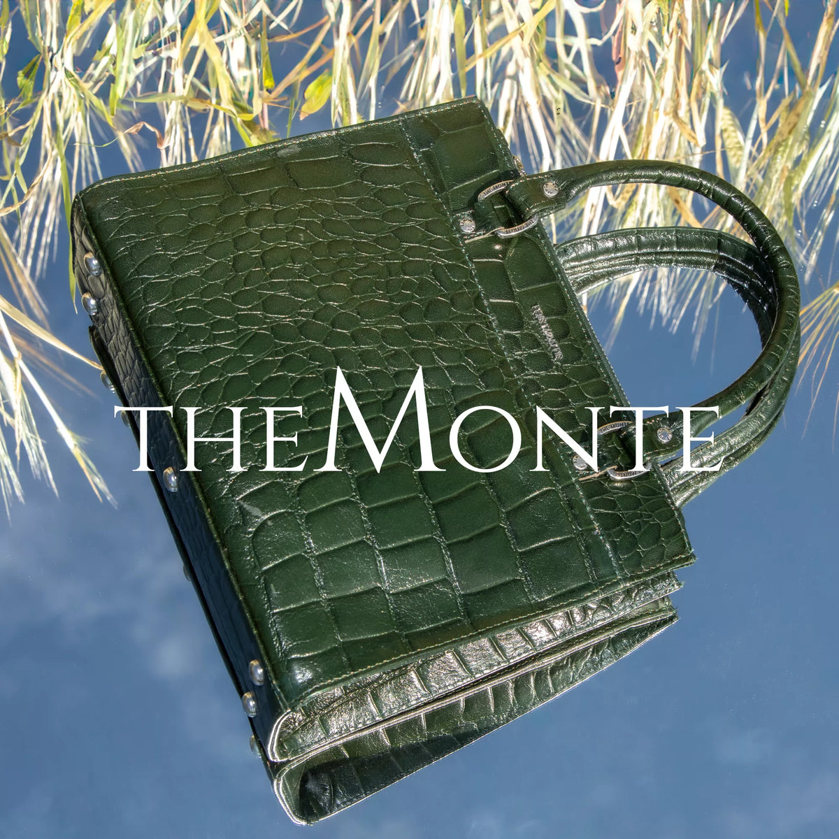 The Monte